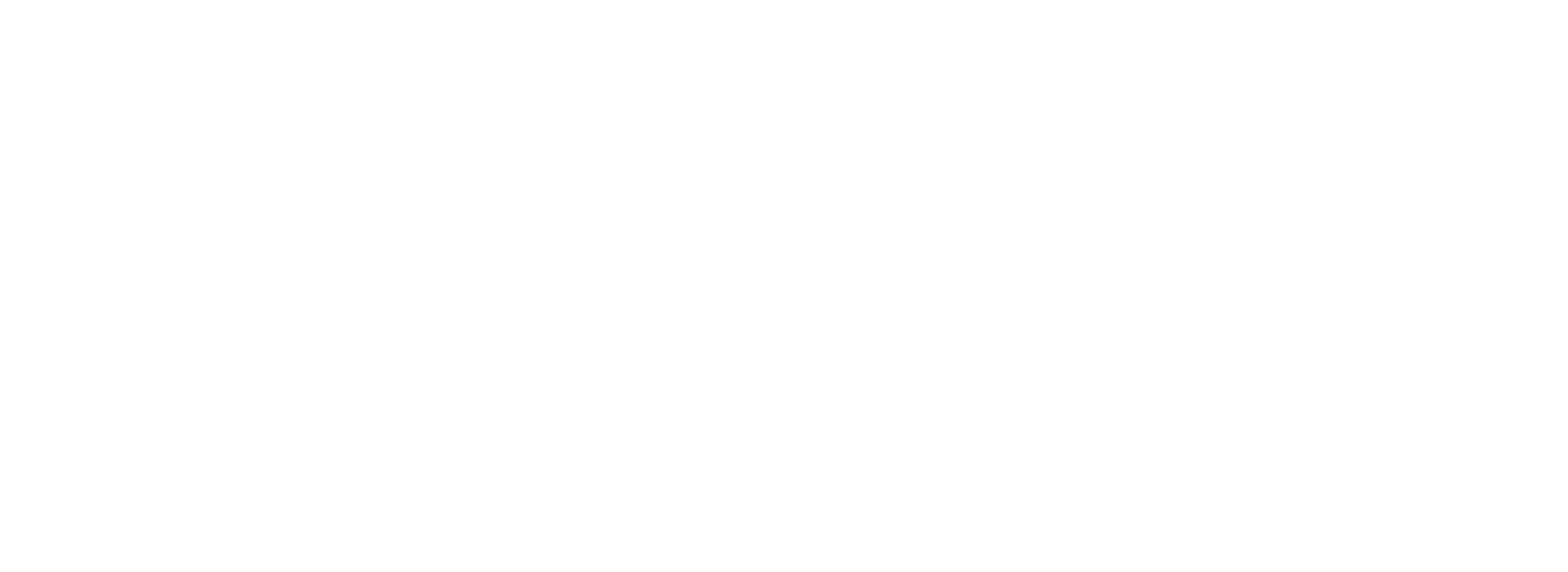 Naples Website Designer